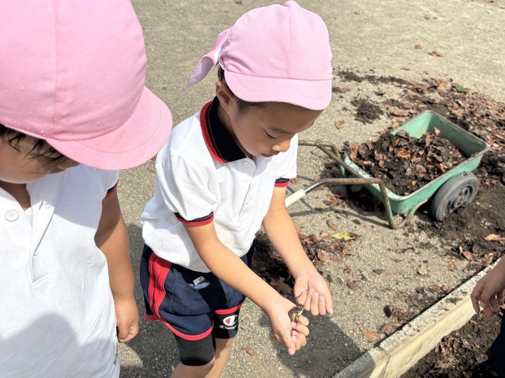 側溝掃除②